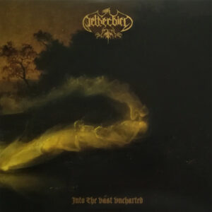 Into The Vast Uncharted