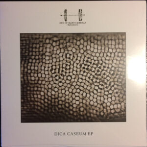 One Of Many Cameras - Dica Caseum EP