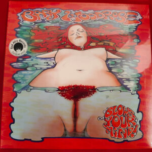 Baby Woodrose – Blows Your Mind!