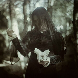 Ulmus – Light/Darkness