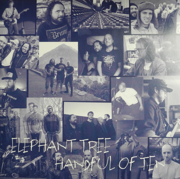Elephant Tree – Handful Of Ten