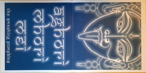 Smashing Pumpkins – Aghori Mhori Mei - Image 2