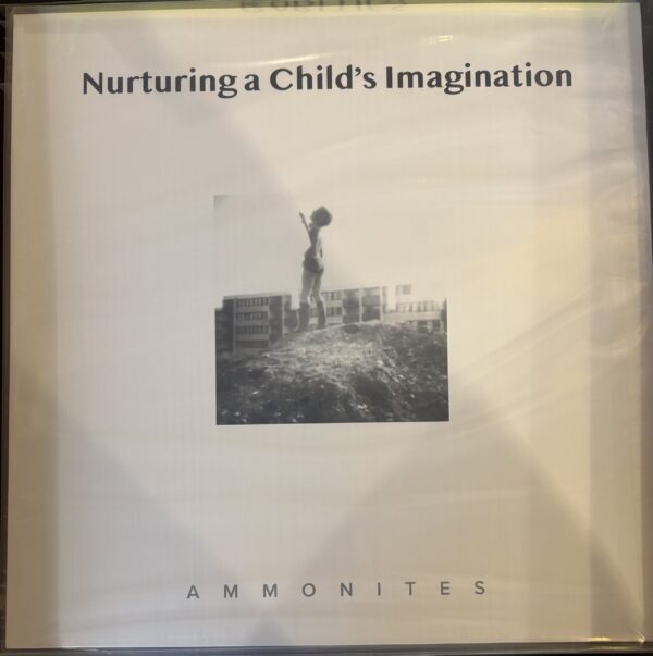 Ammonites - Nuturing a child,s Imagination