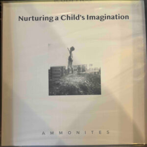 Nurturing A Child's Imagination