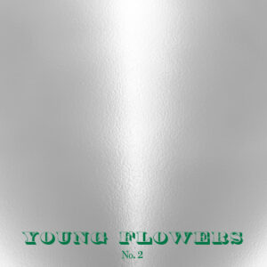 Young Flowers ‎– No. 2
