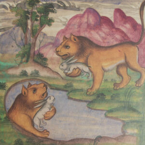 Not Waving & Dark Mark ‎– Downwelling