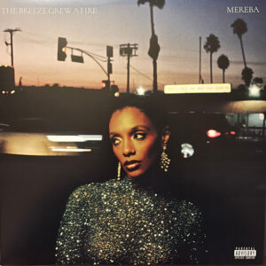 Mereba – The Breeze Grew a Fire