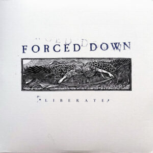 Forced Down – Liberate