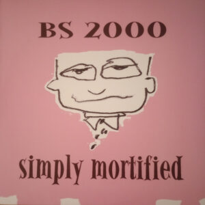 BS 2000 – Simply Mortified