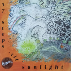 Skyjoggers ‎– 37 Steps 'Til Sunlight / I Am A Stone In Gagaria