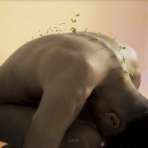 Alex Vargas ‎– Ego