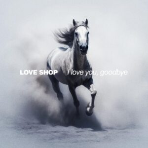 Love Shop - I Love You, Goodbye