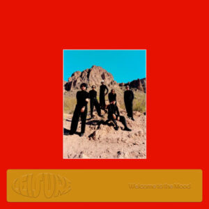 Leisure - Welcome To the Mood