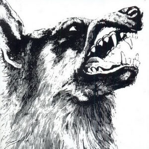 Crippled Black Phoenix ‎– I, Vigilante