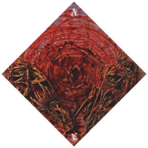 Ainsoph ‎– Affection & Vengeance