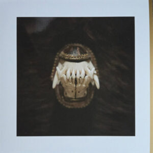 Amenra ‎– De Toorn