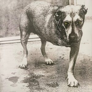 Alice In Chains