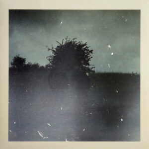 Bremer/McCoy ‎– Forsvinder