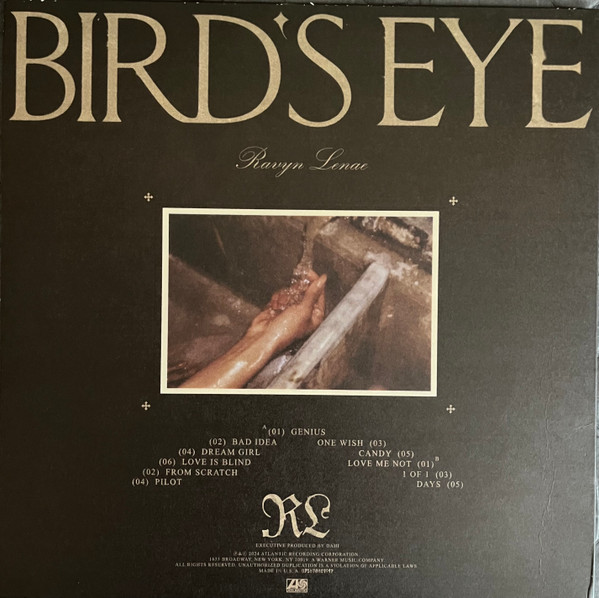 Ravyn Lenae – Bird's Eye - Image 2