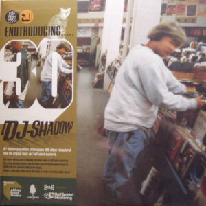 Endtroducing.....