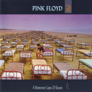 A Momentary Lapse Of Reason
